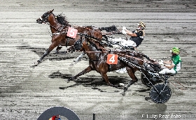 Ippica ippodromo Cesena Trotto: resoconto delle corse di sabato 20 luglio 2024