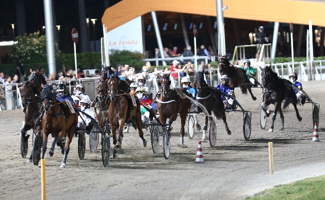 Ippica ippodromo Cesena Trotto: presentazione delle corse di sabato 27 luglio 2024