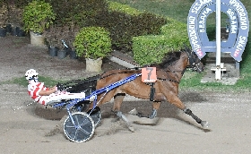 Ippica esordio vincente per Gaby Wise As nel bel mercoledì sera all'Ippodromo Snai Sesana davanti a circa mille spettatori