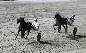 Ippica Ippodromo Cesena Trotto: resoconto delle corse di sabato 31 agosto 2024