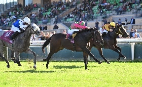 Ippica Ippodromo Capannelle: martedì 3 settembre riparte la stagione delle corse