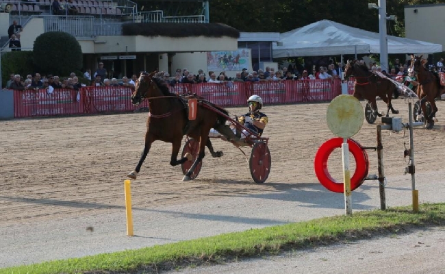 IPPODROMO ARCOVEGGIO BOLOGNA Resoconto delle corse di domenica 22 settembre 2024