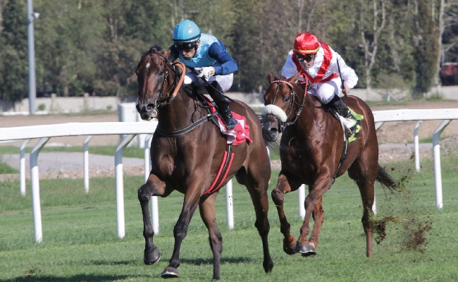 Ippica: all'Ippodromo Snai San Siro bel mercoledì di galoppo a partire dalle ore 14:30. Tra le sette corse spicca la prova condizionata in ricordo di Riccardo Zanocchio