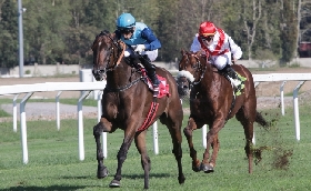 Ippica: all'Ippodromo Snai San Siro bel mercoledì di galoppo a partire dalle ore 14:30. Tra le sette corse spicca la prova condizionata in ricordo di Riccardo Zanocchio