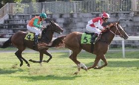 Ippica super domenica all'Ippodromo Snai San Siro con l'animazione e l'intrattenimento per le famiglie e i bambini con l'Ippo Olimpiade mentre in pista è spettacolo con il Premio Verziere e il Cumani 