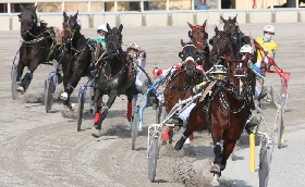 ippica ippodromo bologna