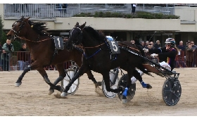 Ippica Ippodromo Bologna Arcoveggio: giovedì 6 marzo con Amazzoni e Tris Quarté Quinté