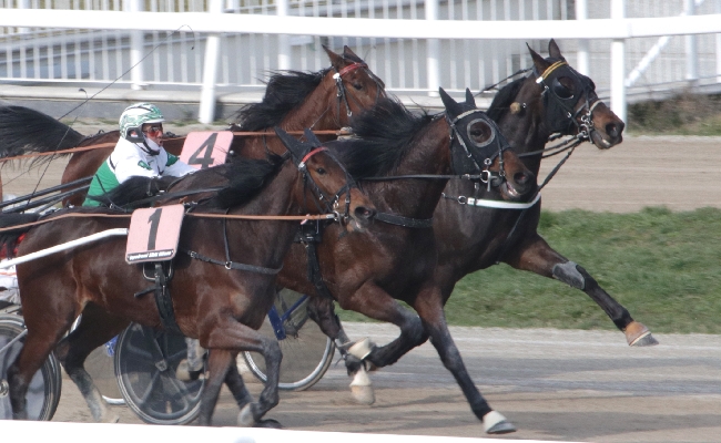  all’ippodromo snai san siro domenica di trotto a partire dalle ore 14:45. sette corse con due handicap tra cui il premio sky dancer handicap per cavalli anziani