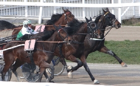  all’ippodromo snai san siro domenica di trotto a partire dalle ore 14:45. sette corse con due handicap tra cui il premio sky dancer handicap per cavalli anziani