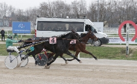 Ippica la domenica di trotto all'ippodromo Snai San Siro: Dauphin Joyeuse con un finale ad effetto fa suo il premio Sky Dancer