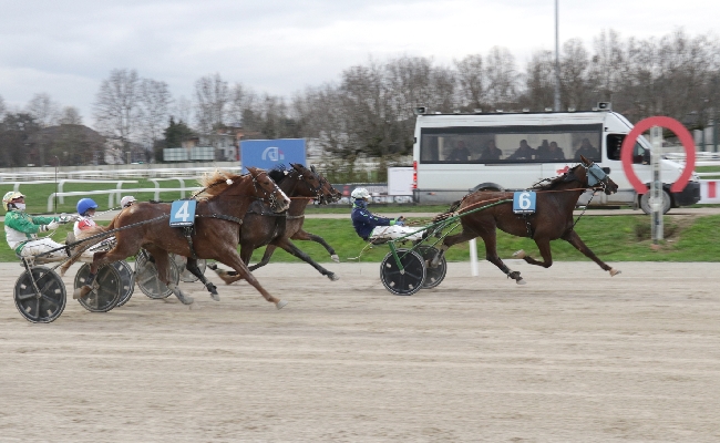 Il venerdì di trotto all'Ippodromo Snai San Siro di Milano regala a Gold Man F1 una vittoria a sorpresa nel Premio Tenerife. Venerdì 21 ultima del mese con in pista le batterie del Premio Anact Stakes Plus+