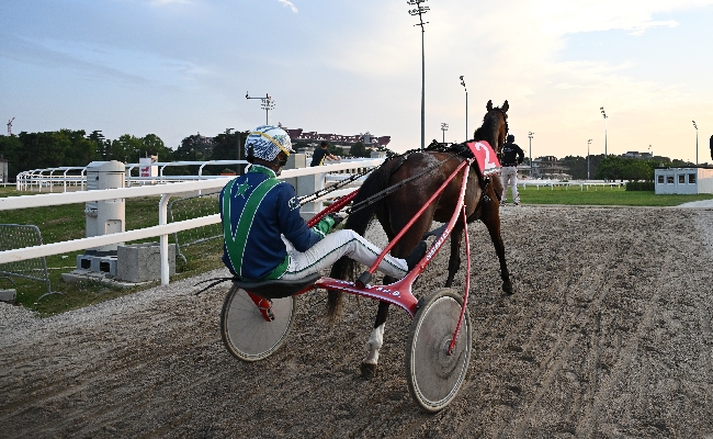 Ippica all'Ippodromo Snai San Siro di Milano fine settimana con tre giornate di corse. Si parte venerdì con il trotto per la 20° stagionale in cui spicca l'Anact Stakes Plus