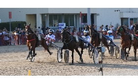 Ippica all’Ippodromo Arcoveggio di Bologna domenica 23 marzo otto corse per i gentlemen in ricordo di Afro Garavini