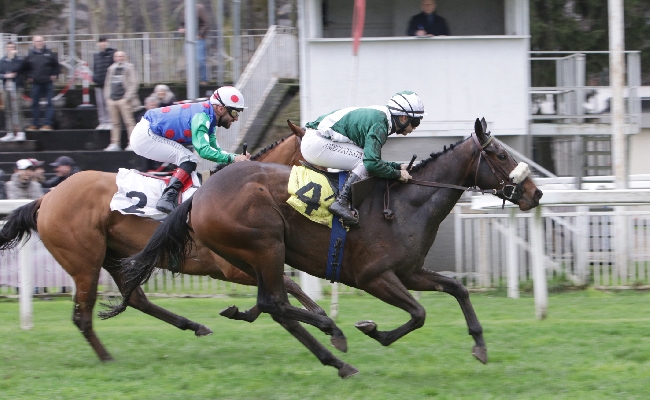 Ippica all’Ippodromo Snai San Siro Domenica che chiude il fine settimana con il galoppo e le ‘Giornate Fai di Primavera’. In pista il Premio Gardenghi a Roky e il Premio Sacundai a Pozzo Di Bugia. Giovedì si corre in preserale