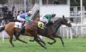 Ippica all’Ippodromo Snai San Siro Domenica che chiude il fine settimana con il galoppo e le ‘Giornate Fai di Primavera’. In pista il Premio Gardenghi a Roky e il Premio Sacundai a Pozzo Di Bugia. Giovedì si corre in preserale