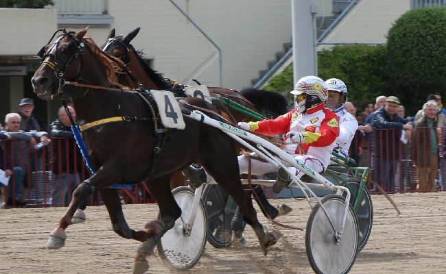 Ippica all’Ippodromo Arcoveggio di Bologna giovedì 27 marzo otto corse con TQQ e tre anni in evidenza