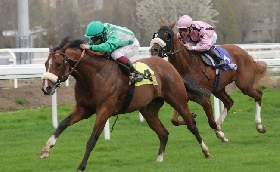 Ippica sabato all'Ippodromo Snai San Siro primo appuntamento di spessore della stagione di galoppo con il Premio Seregno e il Premio Gardone