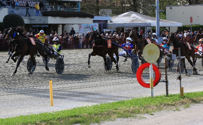Ippica Ippodromo Arcoveggio di Bologna: a Glory Winner il GP Italia divisione femminile a Gandhi Mail quella maschile