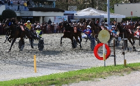 Ippica Ippodromo Arcoveggio di Bologna: a Glory Winner il GP Italia divisione femminile a Gandhi Mail quella maschile
