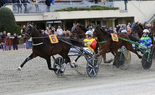 Ippica All’ippodromo di Bologna giovedì 3 aprile otto corse con la TQQ abbinata a València Turisme