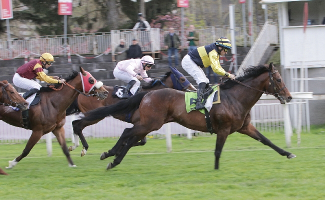 Ippica all’Ippodromo Snai San Siro mercoledì di galoppo con la netta vittoria di Thine Be The Glory nel Premio Alberto Chantre mentre il Premio Jimy'S Grey per il terzo anno consecutivo va al ‘Vecchio’ Ghepardo Da Todi