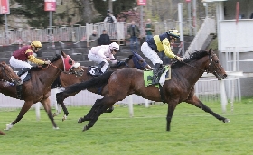 Ippica all’Ippodromo Snai San Siro mercoledì di galoppo con la netta vittoria di Thine Be The Glory nel Premio Alberto Chantre mentre il Premio Jimy'S Grey per il terzo anno consecutivo va al ‘Vecchio’ Ghepardo Da Todi