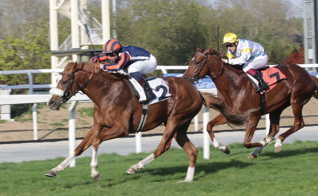 Ippica all'Ippodromo Snai San Siro bella domenica di sole e di pubblico con Conformist che vince la corsa più tecnica della 6° giornata per il Premio Aria Club Milano condizionata sul miglio per i cavalli di 3 anni