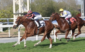 Ippica all'Ippodromo Snai San Siro bella domenica di sole e di pubblico con Conformist che vince la corsa più tecnica della 6° giornata per il Premio Aria Club Milano condizionata sul miglio per i cavalli di 3 anni