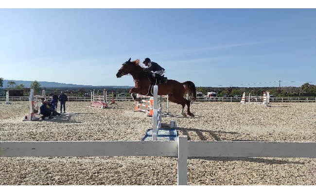 Salto ostacoli: 258 cavalli alla 1^ tappa del Trofeo Asvi Antonio Meloni su Vadir vince il Gran Premio C140 a due manche