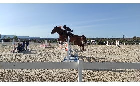 Salto ostacoli: 258 cavalli alla 1^ tappa del Trofeo Asvi Antonio Meloni su Vadir vince il Gran Premio C140 a due manche