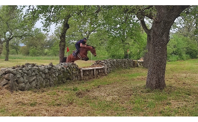 Equitazione Luca Riccardi e Luigi Iriu vincono a Tanca Regia (Abbasanta). Nel dressage successi di Maria Lara Moya e Andrea Guspini 