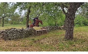 Equitazione Luca Riccardi e Luigi Iriu vincono a Tanca Regia (Abbasanta). Nel dressage successi di Maria Lara Moya e Andrea Guspini 