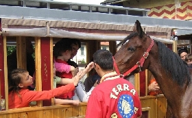 Ippodromo Arcoveggio riconosciuto tra i luoghi simbolo dello sport di Bologna