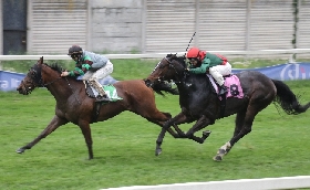 Ippica all'Ippodromo Snai San Siro il lunedì 'tecnico' di galoppo premia Alburno nel Premio Falbrav mentre Martin The Saxon e Dandy Sands vincono i due handicap per i Premi Maslogarth e Po