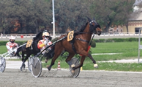 Ippica all’ippodromo di Bologna giovedì 17 aprile: otto corse di qualità Atik Dl atteso nel clou