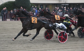 Ippica all’ippodromo di Bologna venerdì 19 aprile Zaccherini favorito nelle prove gentleman Gravina Mf cerca il successo nel Premio Franco Marani