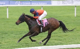 Ippica all'Ippodromo Snai San Siro Aquila Reale vola sul Premio Monza. Domenica va in scena la listed per il Premio Certosa