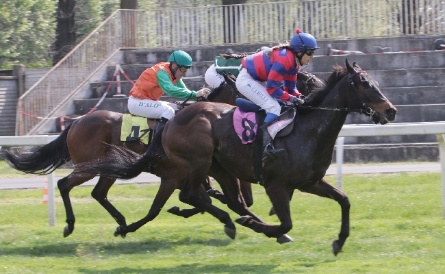 Ippica in attesa del grande appuntamento di trotto del 25 aprile con il Gran Premio Ettore e Mario Barbetta l’Ippodromo Snai San Siro ospita mercoledì l’11^ stagionale di galoppo a partire dalle ore 14