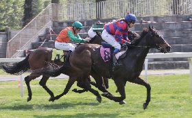 Ippica in attesa del grande appuntamento di trotto del 25 aprile con il Gran Premio Ettore e Mario Barbetta l’Ippodromo Snai San Siro ospita mercoledì l’11^ stagionale di galoppo a partire dalle ore 14