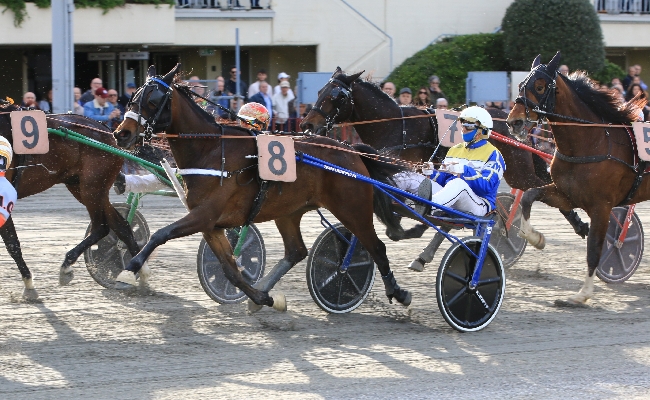 Ippica: Giovedì 24 aprile all’ippodromo di Bologna il Premio Alma e Renzo Maccaferri in chiusura la TQQ  