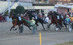 Ippica Ippodromo Arcoveggio Bologna: domenica 27 aprile otto corse con focus sui maratoneti