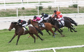 LUNEDÌ IN PISTA ALL’IPPODROMO SNAI SAN SIRO PER IL RECUPERO DELLA 12^ DI GALOPPO ANNULLATA SABATO 26. SETTE CORSE CON SEI PROVE HANDICAP E UNA MAIDEN