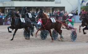 Ippica Sabato 10 maggio all’ippodromo di Bologna il Premio Leoniero e altre due corse hanno protagonisti i cavalli di tre anni 