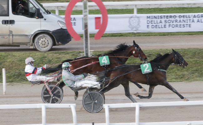 Ippica all'Ippodromo Snai San Siro il mercoledì di trotto vede Goelicher St imporsi nella prova centrale per il Premio Showmar mentre nel trofeo del trotto montato vince Icelander