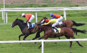 all’ippodromo snai san siro di milano ricco ed eterogeneo mercoledì di galoppo per la 16^ stagionale dalle ore 14:45. otto prove tra cui la condizionata per il premio ramonti