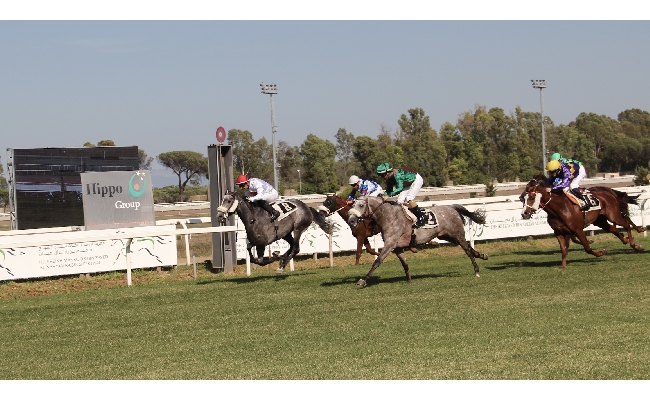 Per la prima volta a Roma la UAE President Cup 2025 300.000 € di montepremi nella corsa in programma domenica 18 maggio