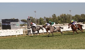 Per la prima volta a Roma la UAE President Cup 2025 300.000 € di montepremi nella corsa in programma domenica 18 maggio
