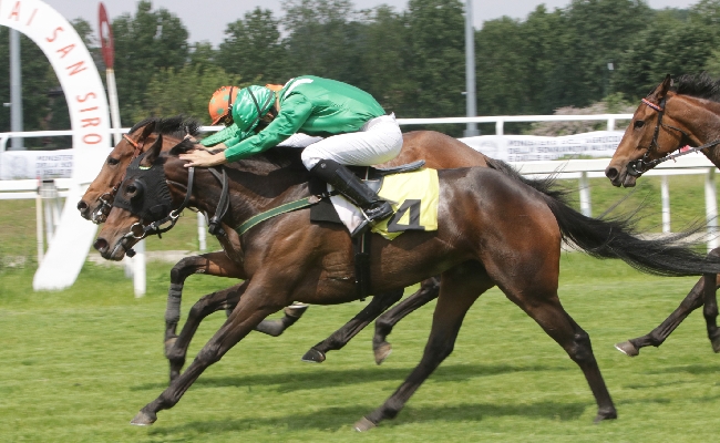 Ippica all'Ippodromo Snai San Siro il mercoledì di galoppo sorride a Shimmy Jimmy che vince il Premio Ramonti. Sabato grande attesa per il Premio Bereguardo Trofeo Sirlad l'Incisa della Rocchetta e il Nogara