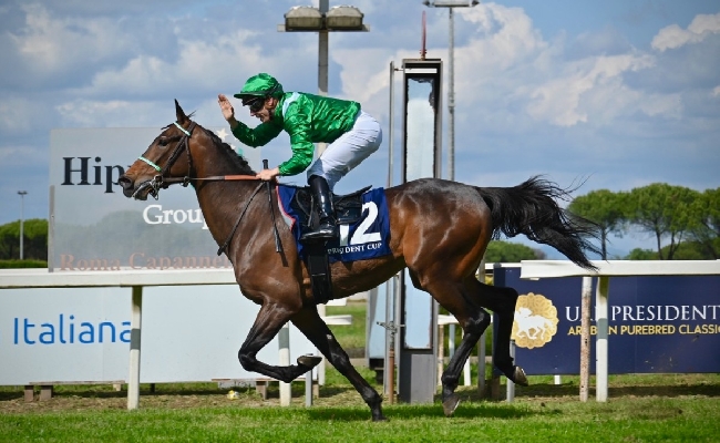 IPPICA Ippodromo Capannelle Assolo di HM Alchahine e Cristian Demuro nella UAE President Cup
