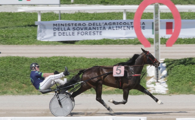 GOCCIADORO PROTAGONISTA NELLA DOMENICA DI TROTTO ALL’IPPODROMO SNAI SAN SIRO NELLE DUE PIÙ IMPORTANTI PROVE: NEL PREMIO ZABUL BI VINCE CON FIREBALL BI E NEL MINEIRO AS CON GLAMOUR GIO